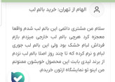 بالم لب ارگانیک لیدی طباویتامینه بدون پارابن حاوی موم عسل ویتامین ای حجم ۳/۵گرم