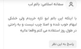 بالم لب ارگانیک لیدی طباویتامینه بدون پارابن حاوی موم عسل ویتامین ای حجم ۳/۵گرم